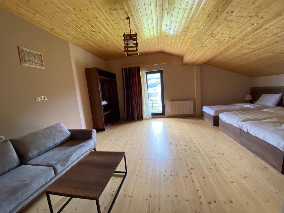 Hotel Axien Kazbegi Экстерьер фото